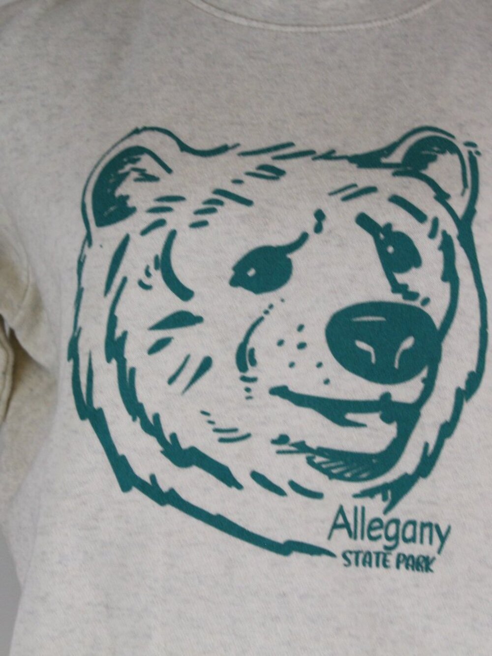 Allegany State Park Bear Graphic Sweatshirt Small Cozy Crewneck - Picture 2 of 11